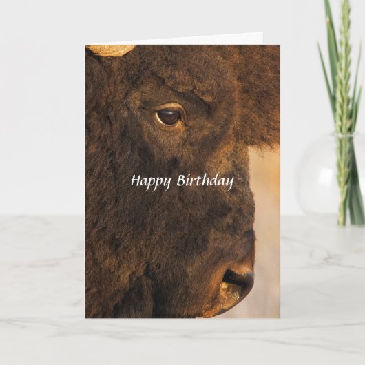 beide Einden van de Buffalo 2 Humoristische kaart (Voorkant)