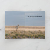 Beide einden van de buffelHumorische kaart (Binnen)