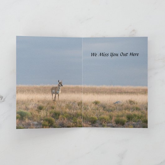 Beide einden van de buffelHumorische kaart (Binnen)