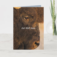 Beide einden van de buffelHumorische kaart