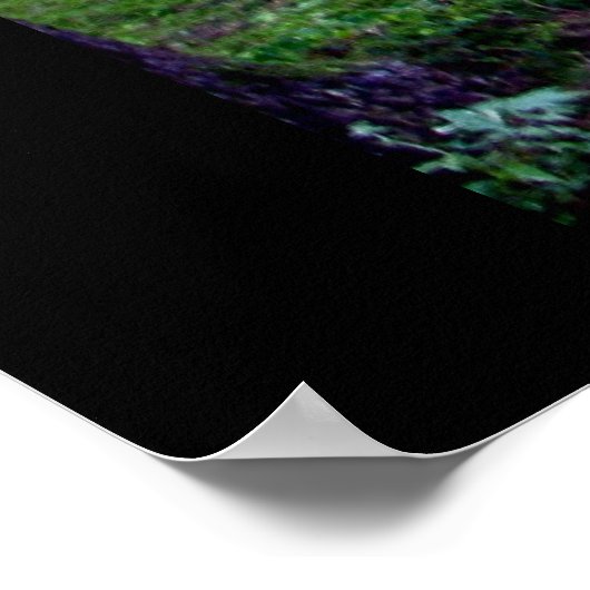 Beiers bos poster (Hoek)