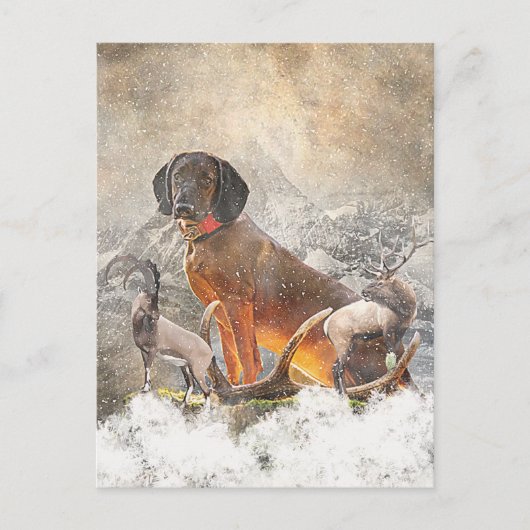 Beierse bergheuvel, kunst briefkaart (Voorkant)