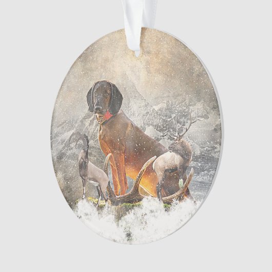 Beierse bergheuvel, kunst ornament (voorkant)