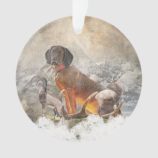 Beierse bergheuvel, kunst ornament (voorkant)