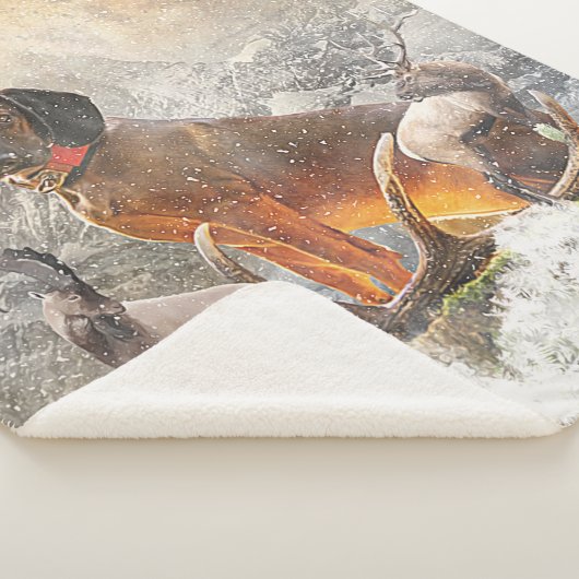 Beierse bergheuvel, kunst sherpa deken (3/4)