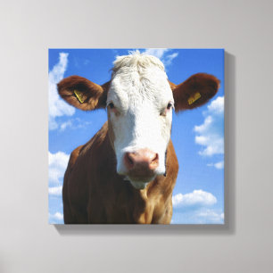 Beierse koe tegen blauwe hemel canvas afdruk
