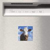 Beierse koe tegen blauwe lucht magneet (Insitu (Vaatwasser))