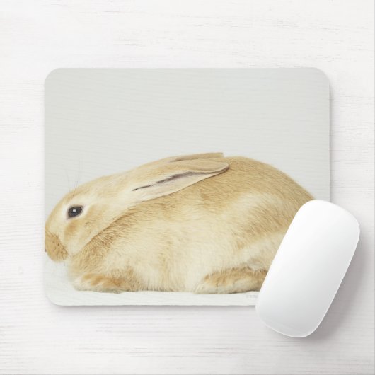 Beige bunny-konijn tegen witte achtergrond 4 muismat (Met muis)