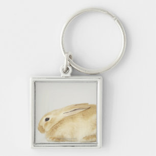 Beige bunny-konijn tegen witte achtergrond 4 sleutelhanger