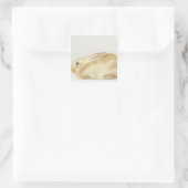 Beige bunny-konijn tegen witte achtergrond 4 vierkante sticker (Tas)