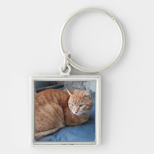 Beige Cat Sleutelhanger (Voorkant)