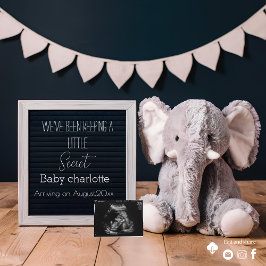 beige en grijs Minimalistische zwangerschapsaankon Kaart