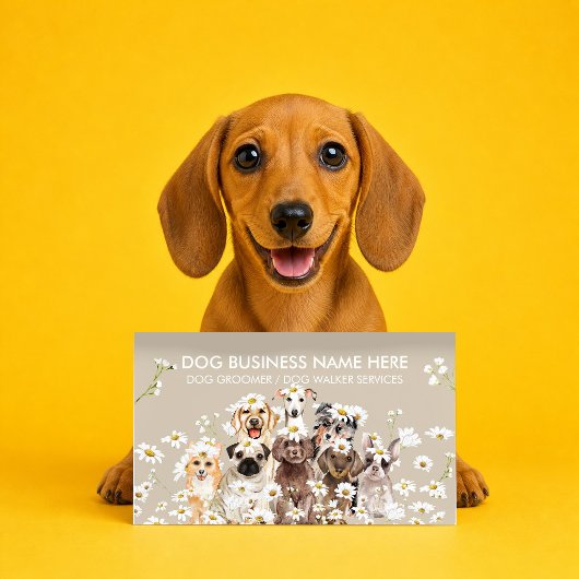 Beige Honden Show Handler Raszuiver Visitekaartje