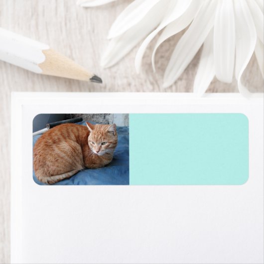 Beige Kat Adres Etiket (Insitu)