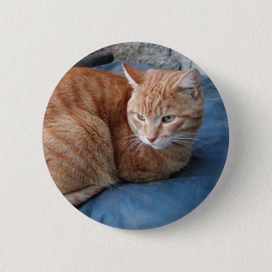 Beige Kat Ronde Button 5,7 Cm (Voorkant)