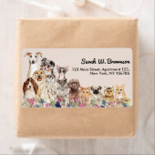 Beige Katten Honden Huisdier Dierenarts Etiket (Insitu)