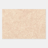 Beige Marble Terrazzo Texture Inpakpapier Vel (Voorkant 2)