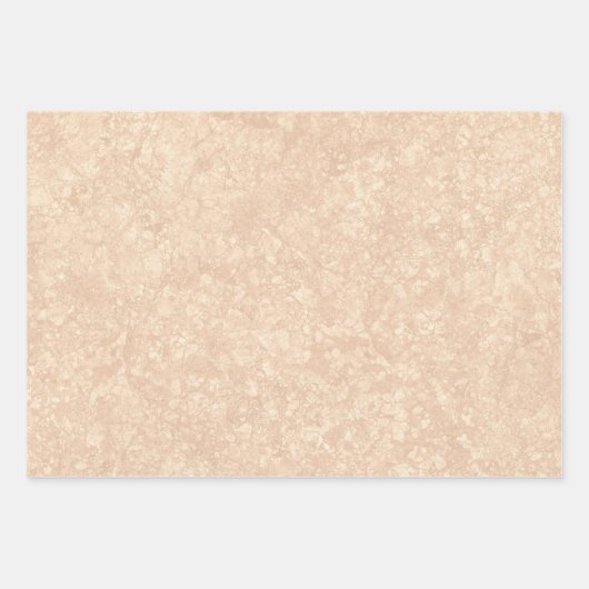Beige Marble Terrazzo Texture Inpakpapier Vel (Voorkant 2)