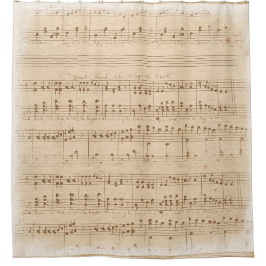 -beige muzieknoten douchegordijn (Voorkant)