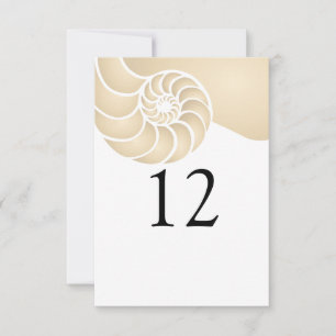 Beige Nautilus Shell Beach Wedding