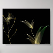 Beige on Black Poster (Voorkant)