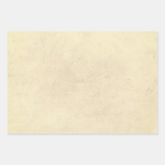 Beige Parchment look Inpakpapier Vel (Voorkant)