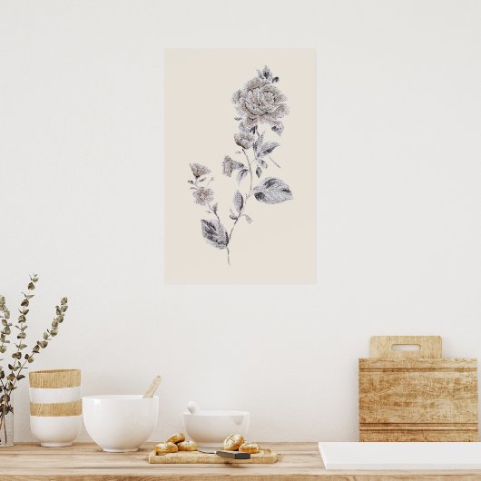 Beige roos poster (Keuken)