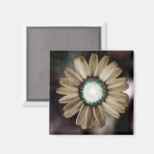 Beige Rustic Daisy Magnet (Voorkant / Achterkant)