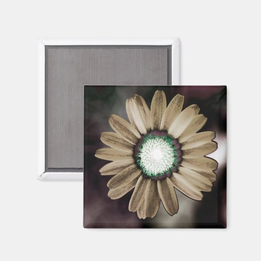 Beige Rustic Daisy Magnet (Voorkant / Achterkant)