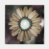 Beige Rustic Daisy Magnet (Voorkant)