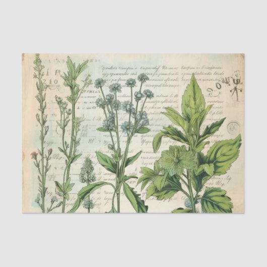 Beige  Waterverf Natuurlijke Wildflower Tissuepapier (Voorkant)