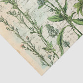 Beige  Waterverf Natuurlijke Wildflower Tissuepapier (Detail)