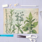 Beige  Waterverf Natuurlijke Wildflower Tissuepapier (Craft)