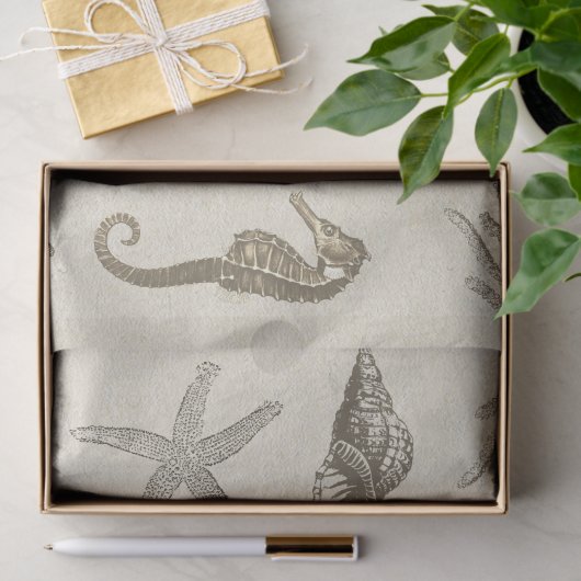 beige zeeleven op Antiek papier (Geschenk)