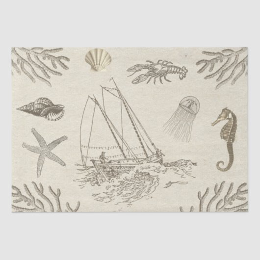  beige zeeleven op Antiek papier (Voorkant)