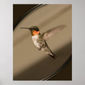 Beija Flor Poster (Voorkant)