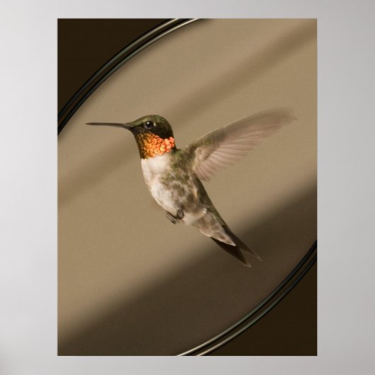 Beija Flor Poster (Voorkant)