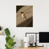 Beija Flor Poster (Thuiskantoor)