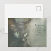 Beileidskarte Katze - Schwarz - Sympathikaart Briefkaart (Voorkant / Achterkant)