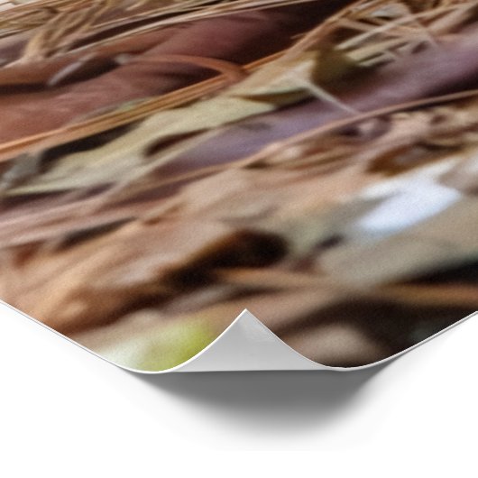 Being Careful Poster (Hoek)