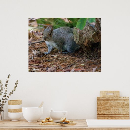 Being Careful Poster (Keuken)