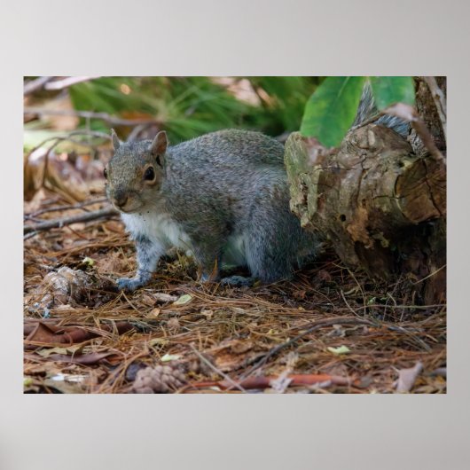 Being Careful Poster (Voorkant)