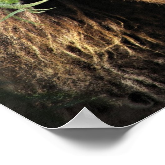 Being Onery Mini Filly Onder de Willow Tree Poster (Hoek)