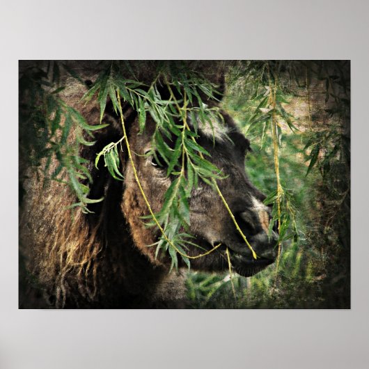 Being Onery Mini Filly Onder de Willow Tree Poster (Voorkant)