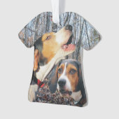 Beingend Walker Coonhound kerstversiering Ornament (voorkant)