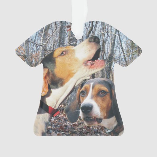 Beingend Walker Coonhound kerstversiering Ornament (voorkant)