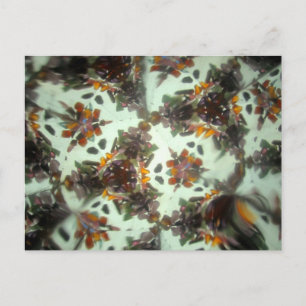 Bejeweled Kaleidescope 27 Briefkaart