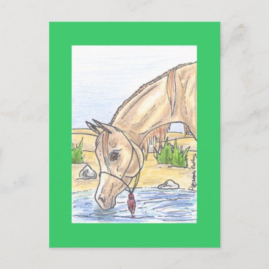 "Bejh bint Ahwa" Briefkaart (Voorkant)