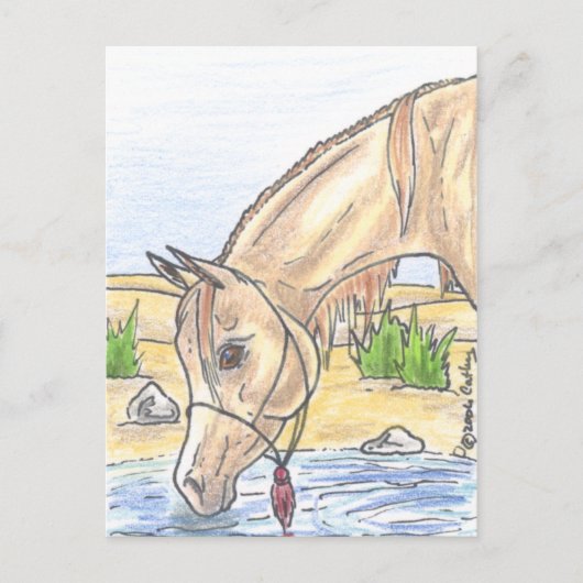 "Bejh bint Ahwa"  Briefkaart (Voorkant)