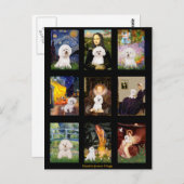 Bekende Art Bichon Frise Composite Briefkaart (Voorkant / Achterkant)